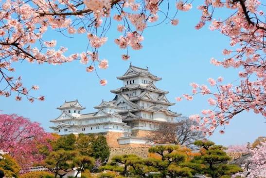 eSIM Japan — 5GB / 30 Days